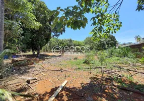 Foto 1 de Lote/Terreno à venda, 5000m² em Mansões Aeroporto, Uberlândia