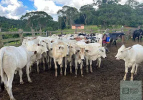 Foto 1 de Fazenda/Sítio com 3 Quartos à venda, 103m² em Centro, Camacan