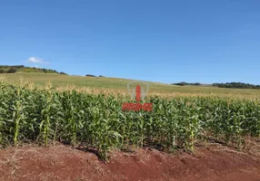 Foto 1 de Fazenda/Sítio à venda, 242000m² em Zona Rural, Assaí