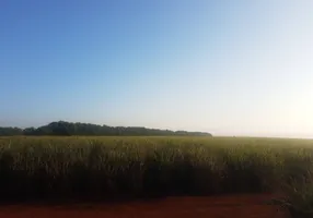 Foto 1 de Fazenda/Sítio à venda, 50820000m² em Centro, Campinas