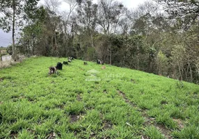 Foto 1 de Lote/Terreno à venda, 218m² em Quinta dos Angicos, Cotia