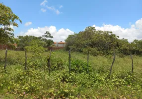 Foto 1 de Lote/Terreno à venda, 900m² em Muriú, Ceará Mirim