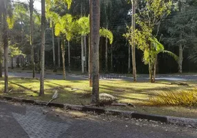 Foto 1 de Lote/Terreno à venda, 293m² em Tucuruvi, São Paulo