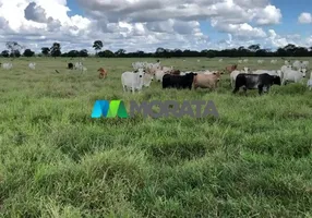 Foto 1 de Fazenda/Sítio com 10 Quartos à venda, 6327m² em Zona Rural, Janaúba