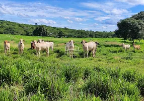 Foto 1 de Fazenda/Sítio com 2 Quartos à venda, 720000m² em Zona Rural, Francisco Sá