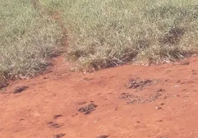 Foto 1 de Fazenda/Sítio à venda em Centro, Jussara