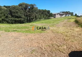 Foto 1 de Lote/Terreno à venda, 26078m² em Rondinha, Campo Largo