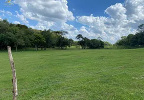 Foto 1 de Lote/Terreno à venda, 3756m² em Ouro Verde, Campo Largo