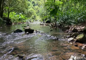 Foto 1 de Fazenda/Sítio à venda, 20000m² em Zona Rural, Nova Petrópolis