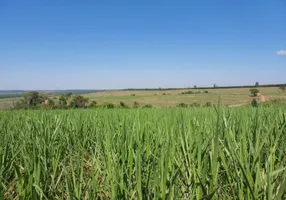 Foto 1 de Fazenda/Sítio com 1 Quarto à venda, 1m² em Centro, Vargem Grande do Sul