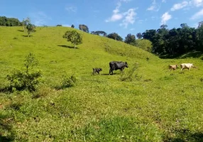 Foto 1 de Fazenda/Sítio à venda, 62470m² em , Caconde