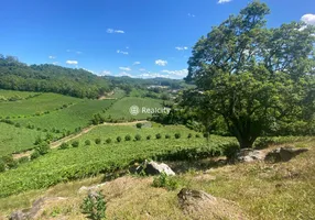 Foto 1 de Lote/Terreno à venda, 56000m² em Vinhedos, Bento Gonçalves