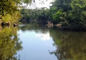 Foto 1 de Fazenda/Sítio com 1 Quarto à venda, 48m² em Zona Rural, Colinas do Sul