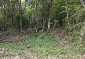 Foto 1 de Fazenda/Sítio com 1 Quarto à venda, 18240m² em Linha Avila, Gramado