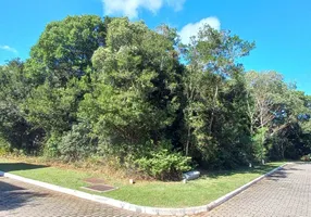 Foto 1 de Lote/Terreno à venda, 371m² em Campeche, Florianópolis