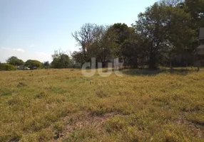 Foto 1 de Lote/Terreno para alugar, 5000m² em Chácaras Alpina, Valinhos