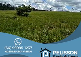 Foto 1 de Fazenda/Sítio com 2 Quartos à venda, 26620000m² em Zona Rural, Altamira
