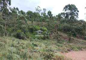 Foto 1 de Lote/Terreno à venda, 1200m² em do Carmo Canguera, São Roque