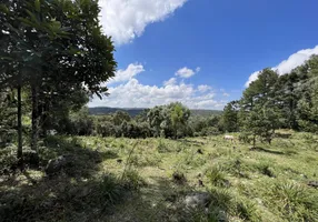 Foto 1 de Fazenda/Sítio com 1 Quarto à venda, 80000m² em Tapera, Gramado