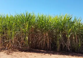 Foto 1 de Fazenda/Sítio à venda em Jardim Urano, São José do Rio Preto