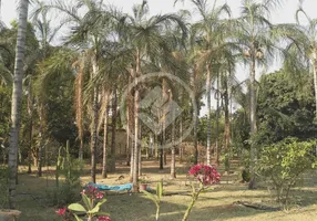 Foto 1 de Fazenda/Sítio com 3 Quartos à venda, 320m² em Zona Rural, Cezarina