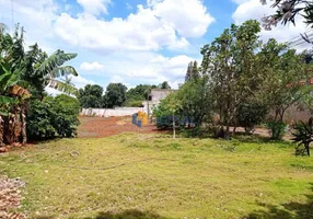 Foto 1 de Lote/Terreno à venda, 980m² em Vila Morangueira, Maringá