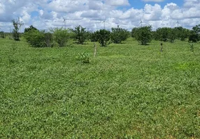 Foto 1 de Fazenda/Sítio com 3 Quartos à venda, 45000m² em Centro, Jandaíra