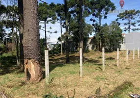 Foto 1 de Lote/Terreno à venda, 2150m² em Gralha Azul, Fazenda Rio Grande