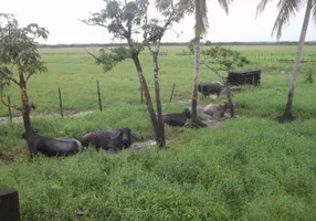 Foto 1 de Fazenda/Sítio com 1 Quarto à venda, 90000000m² em Centro, Pracuúba