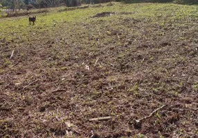 Foto 1 de Lote/Terreno à venda, 105m² em dos Neves Caucaia do Alto, Cotia