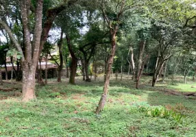 Foto 1 de Lote/Terreno à venda, 650m² em Barreirinha, Curitiba