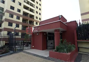 Foto 1 de Apartamento com 3 Quartos para alugar, 75m² em Chácara Primavera, Campinas