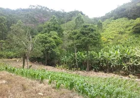 Foto 1 de Fazenda/Sítio à venda, 30000m² em Zona Rural, Santa Teresa