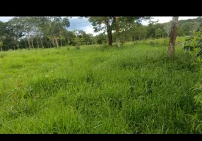 Foto 1 de Fazenda/Sítio à venda em Centro, Água Fria de Goiás