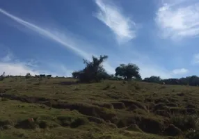 Foto 1 de Lote/Terreno à venda, 203000m² em São Borja, São Leopoldo