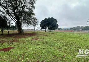 Foto 1 de Lote/Terreno à venda, 10300m² em Portal, Foz do Iguaçu