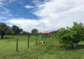Foto 1 de Fazenda/Sítio à venda em Zona Rural, Arraias