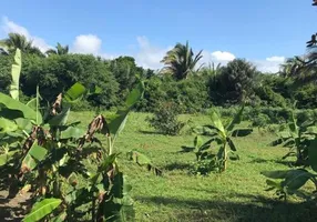 Foto 1 de Fazenda/Sítio à venda, 38000m² em , Paço do Lumiar