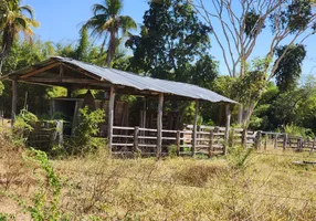 Foto 1 de Fazenda/Sítio com 3 Quartos à venda, 948736800m² em Setor Central, Faina