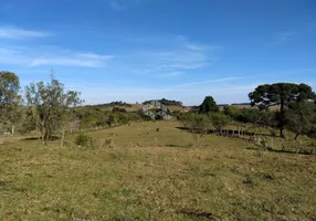 Foto 1 de Fazenda/Sítio com 1 Quarto à venda, 560000m² em Cazuza Ferreira, São Francisco de Paula