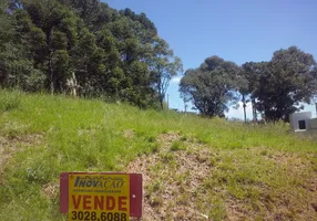 Foto 1 de Lote/Terreno à venda em Monte Bérico, Caxias do Sul