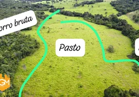 Foto 1 de Fazenda/Sítio à venda, 130000m² em , Paraíso do Tocantins