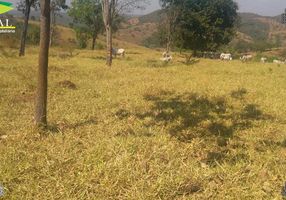 Fazenda/Sítio com 3 Quartos à venda, 12342000m² em Zona Rural, Goiás - imagem 1 Foto 1 de Fazenda/Sítio com 3 Quartos à venda, 12342000m² em Zona Rural, Goiás