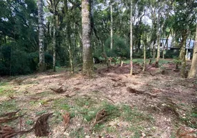 Foto 1 de Lote/Terreno à venda, 1284m² em Mato Queimado, Gramado