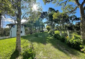 Foto 1 de Fazenda/Sítio com 2 Quartos à venda, 160m² em Vila São Tiago, Piraquara