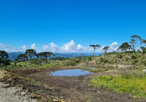 Foto 1 de Fazenda/Sítio à venda, 20000m² em Santa Tereza, Urubici