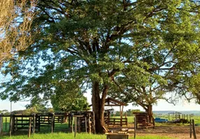 Foto 1 de Fazenda/Sítio à venda, 485000m² em RURAL, Monte Aprazível