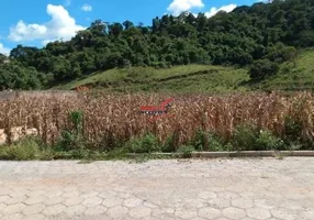 Foto 1 de Lote/Terreno à venda, 660m² em Vau Acu, Ponte Nova