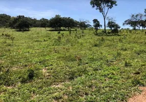 Foto 1 de Fazenda/Sítio à venda em Centro, Rianápolis