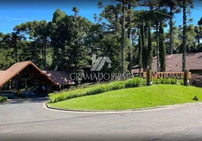 Foto 1 de Lote/Terreno à venda, 1284m² em Mato Queimado, Gramado